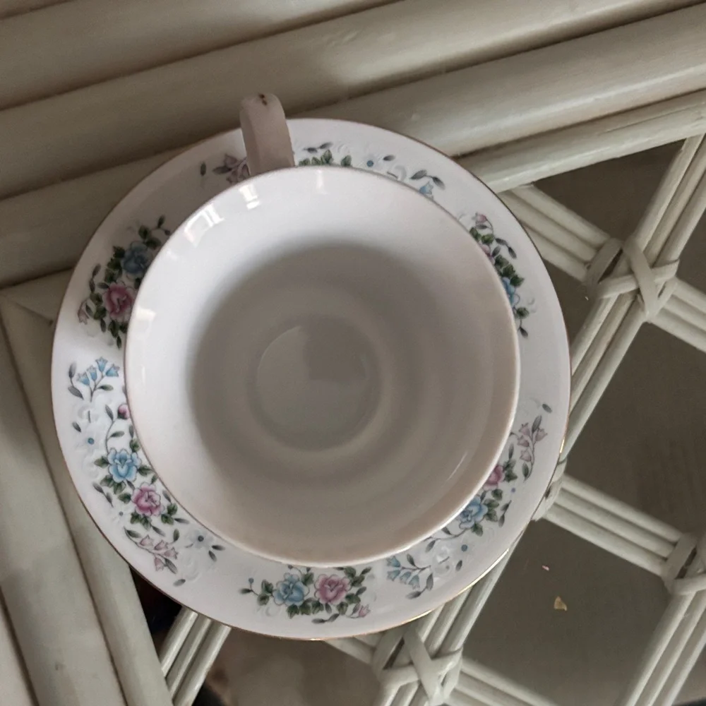 Vintage Tangshan Floral Teacup & Saucer Set